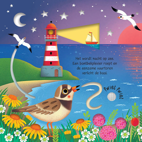 Uitgeverij usborne geluidenboek de kust