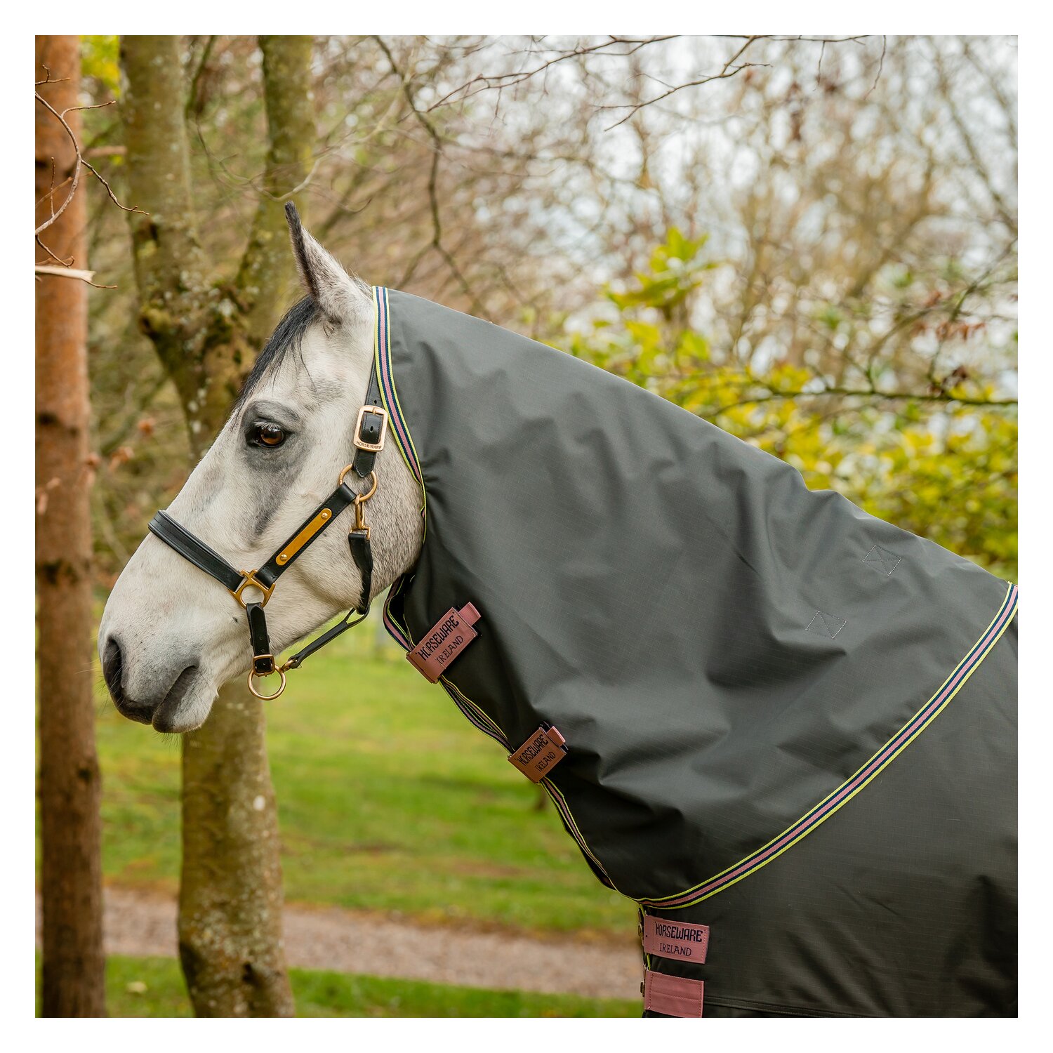 HORSEWARE Halsteil AMIGO Hero Ripstop - shoadow/rose/navy