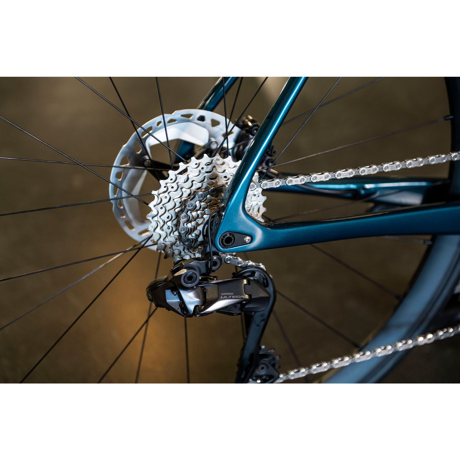 Bianchi Specialissima Ultegra Outlet