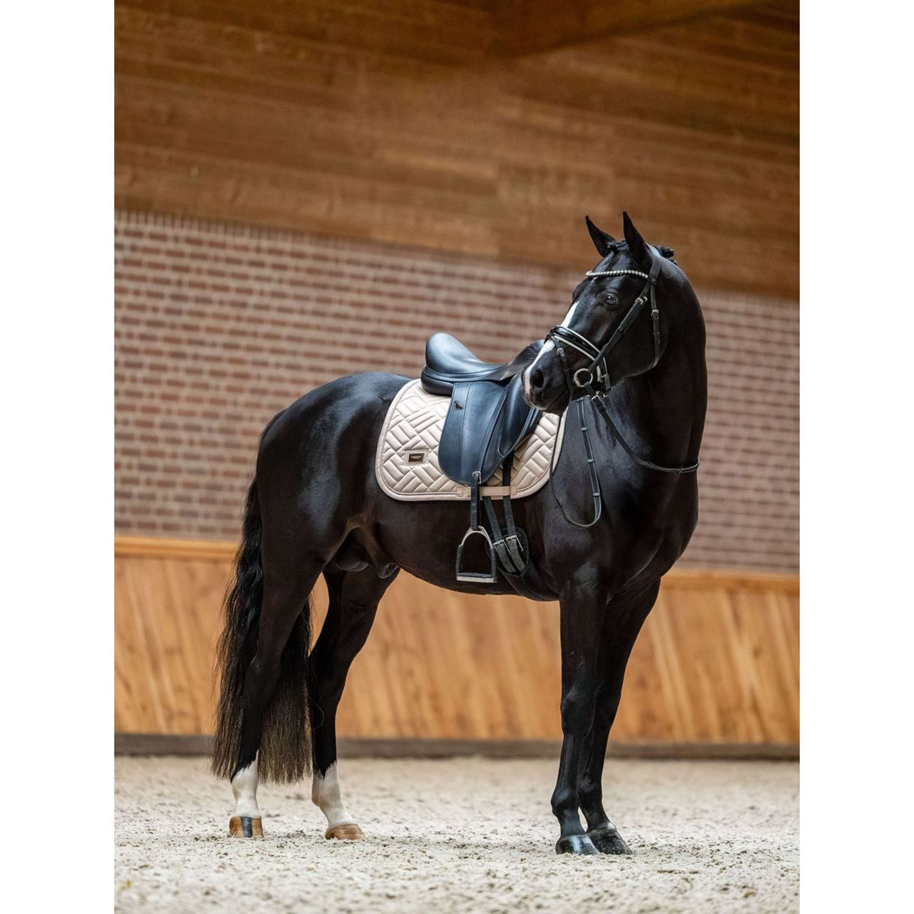 Equestrian Stockholm Zadeldekje Modern Springen Sand