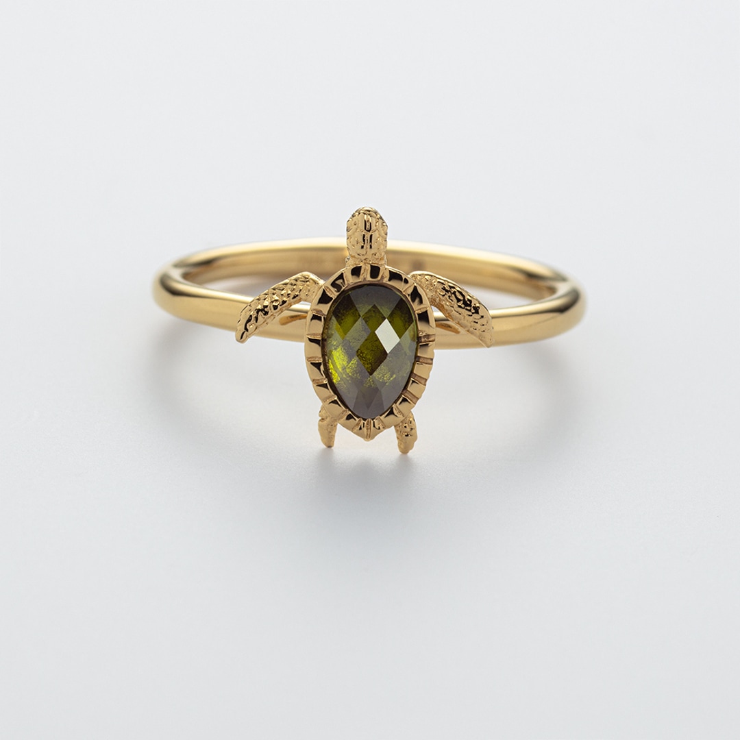 Paul Hewitt Damenring Turtle Marinium Ocean Steel Goldig