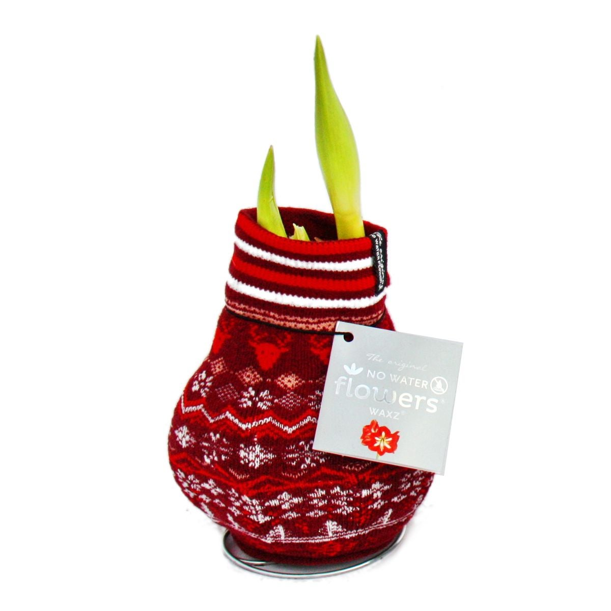 Exotisch Hart - Amaryllisbol in Noorse sok - Ridderster - Het originele cadeau-idee rood