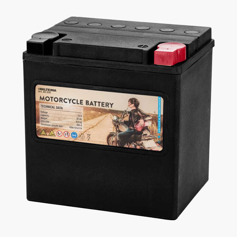 MC-batteri AGM, 12 V, 30 Ah, 169 x 131 x 174 mm