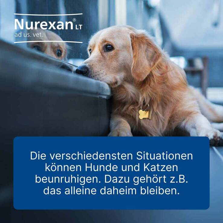 Nurexan LT ad us. vet. Tabletten, 100 St