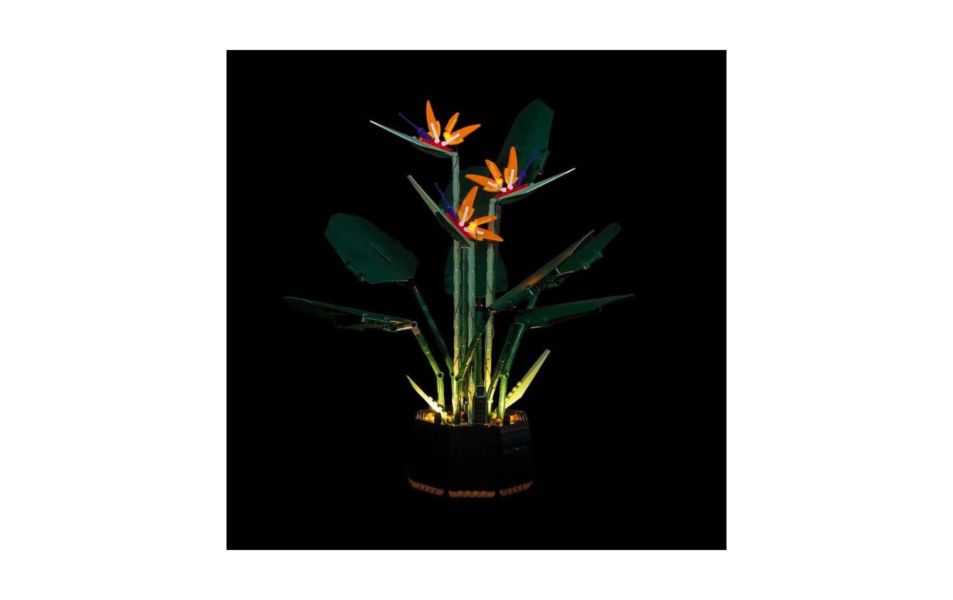 LED-Licht-Set für LEGO® Paradiesvogelblume 10289Light-Kit