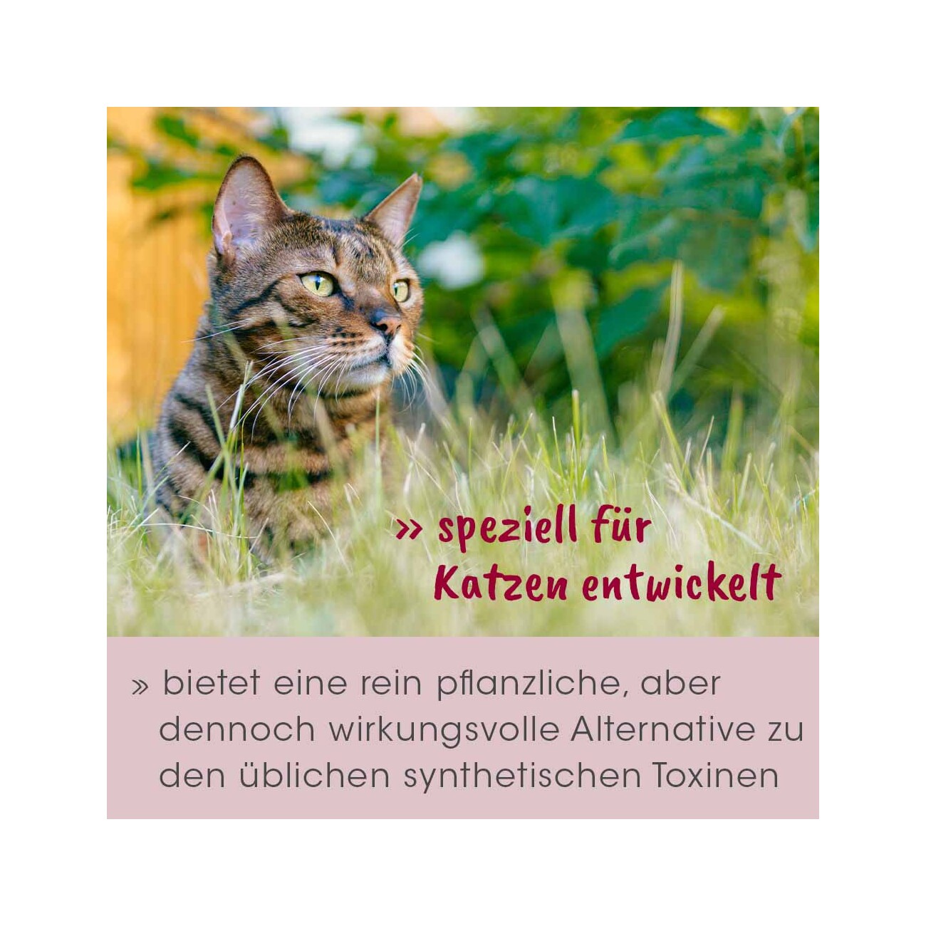 cdVet feliTATZ AbwehrKonzentrat