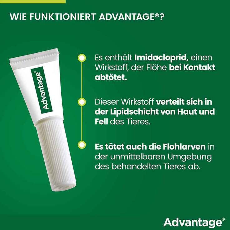 Advantage 40 für kleine Katzen und Zierkaninchen unter 4 kg, 4X0.4 ml