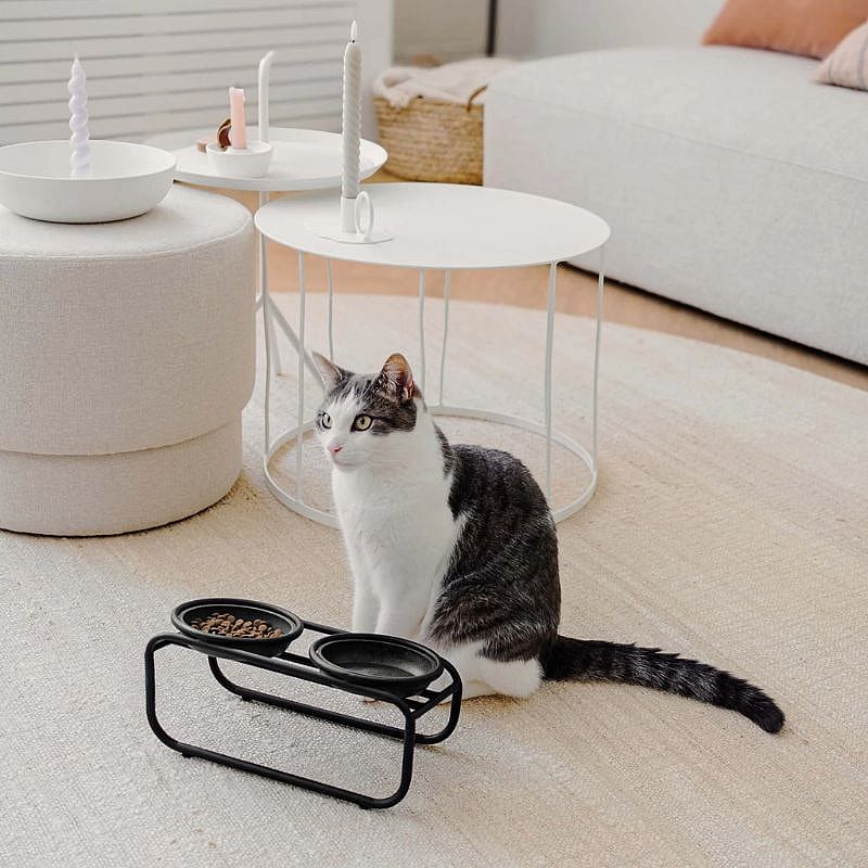District 70  BUTLER Voerbakstandaard Kat | Zwart | 15775.1