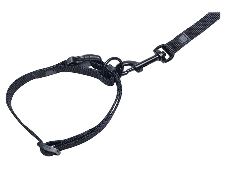 Halsband met lijn