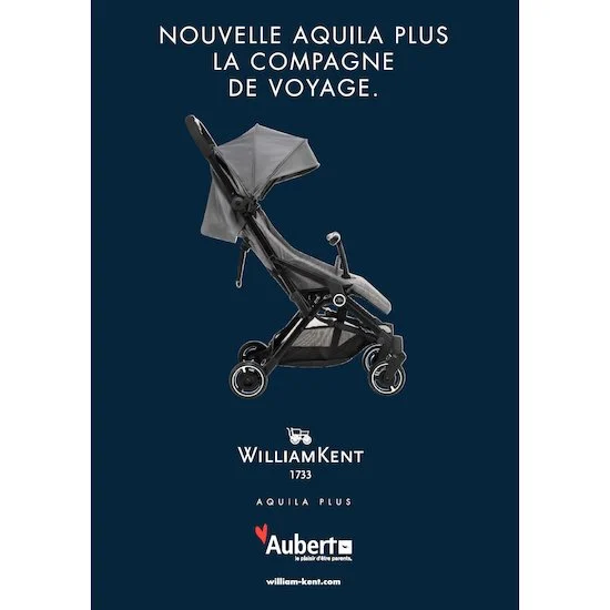 Poussette Canne Aquila Plus   Grey        de               William Kent 1733