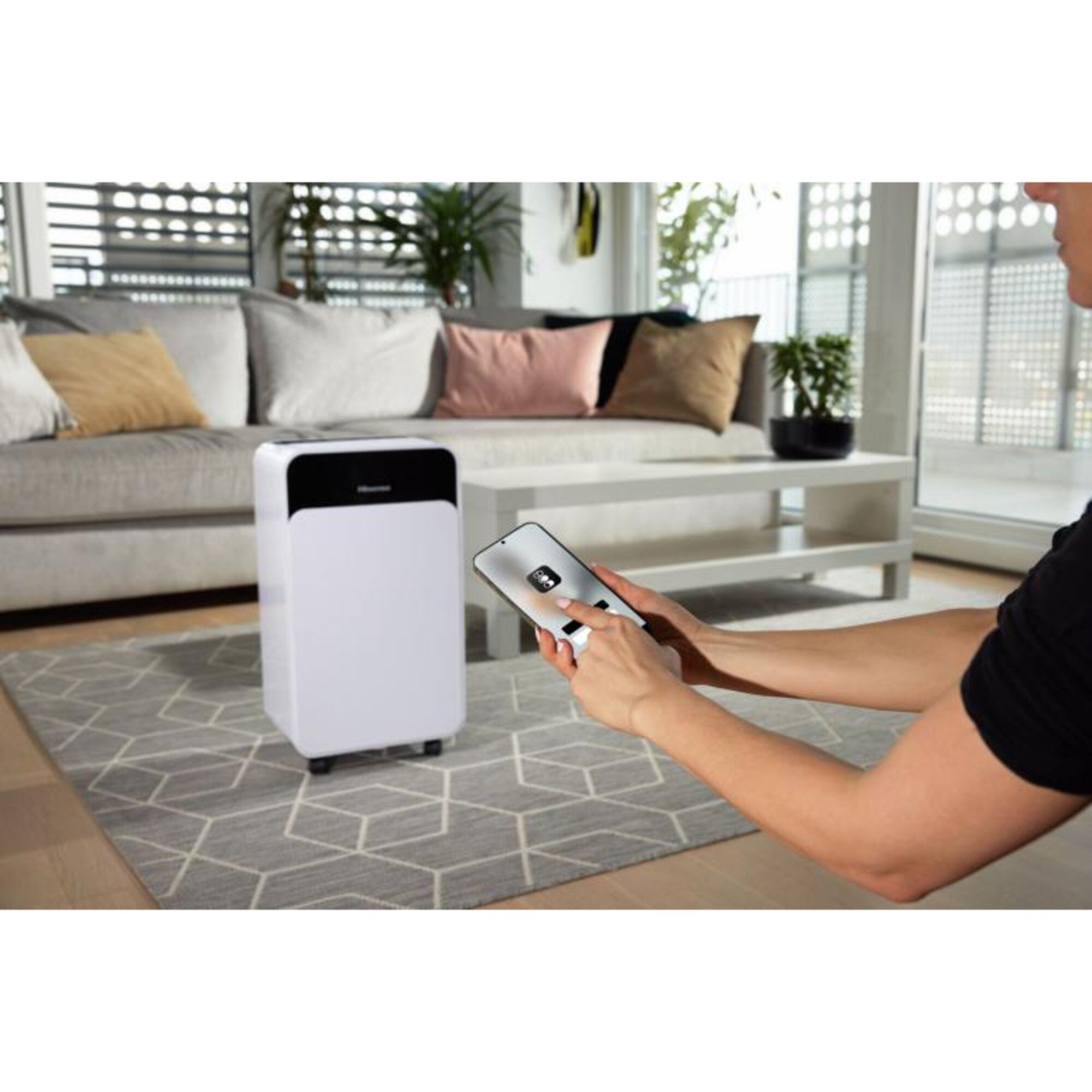 Hisense Luftentfeuchter D12CW