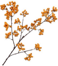 Silk-Ka kunsttak met bessen oranje 30 cm