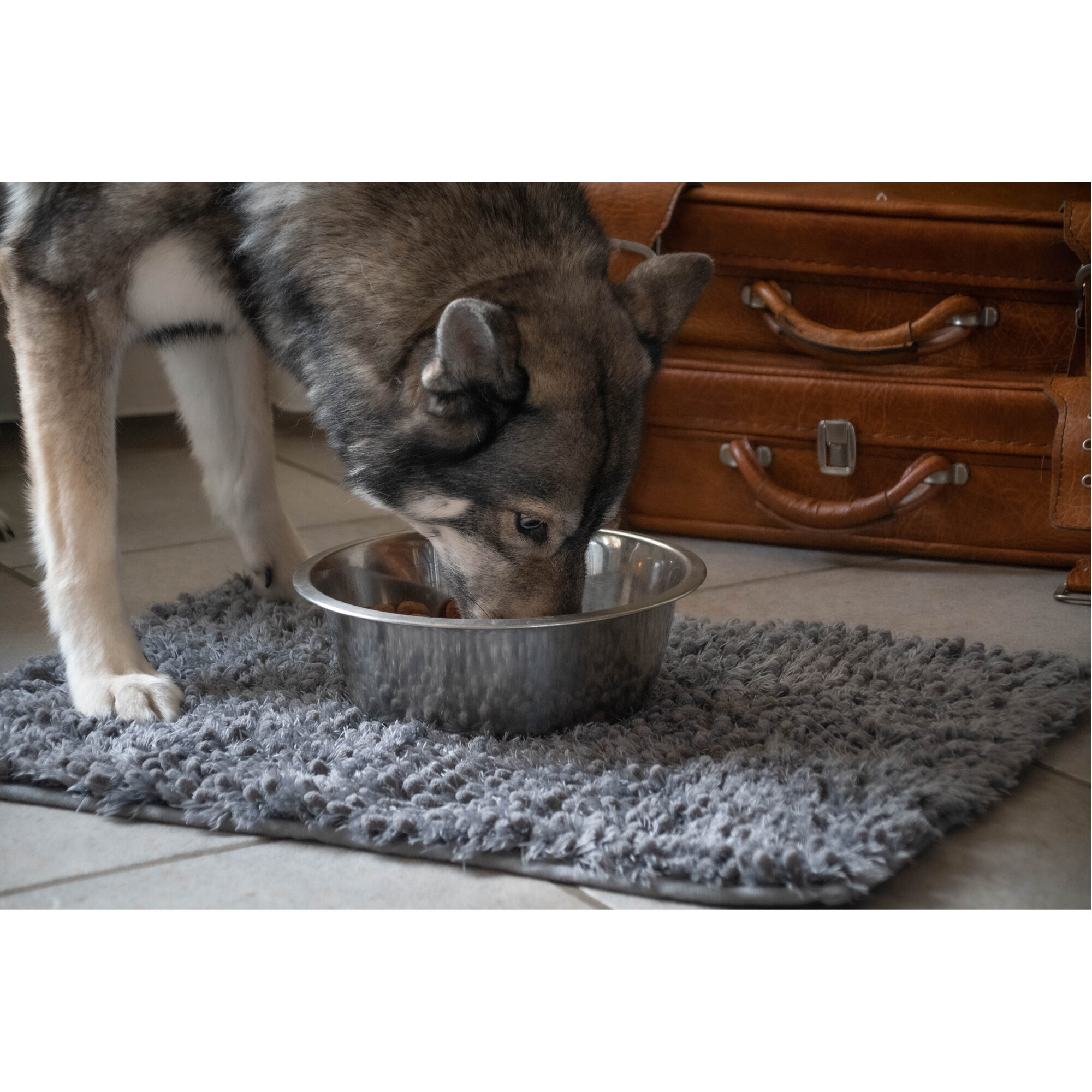 Royal Dry Spillmat