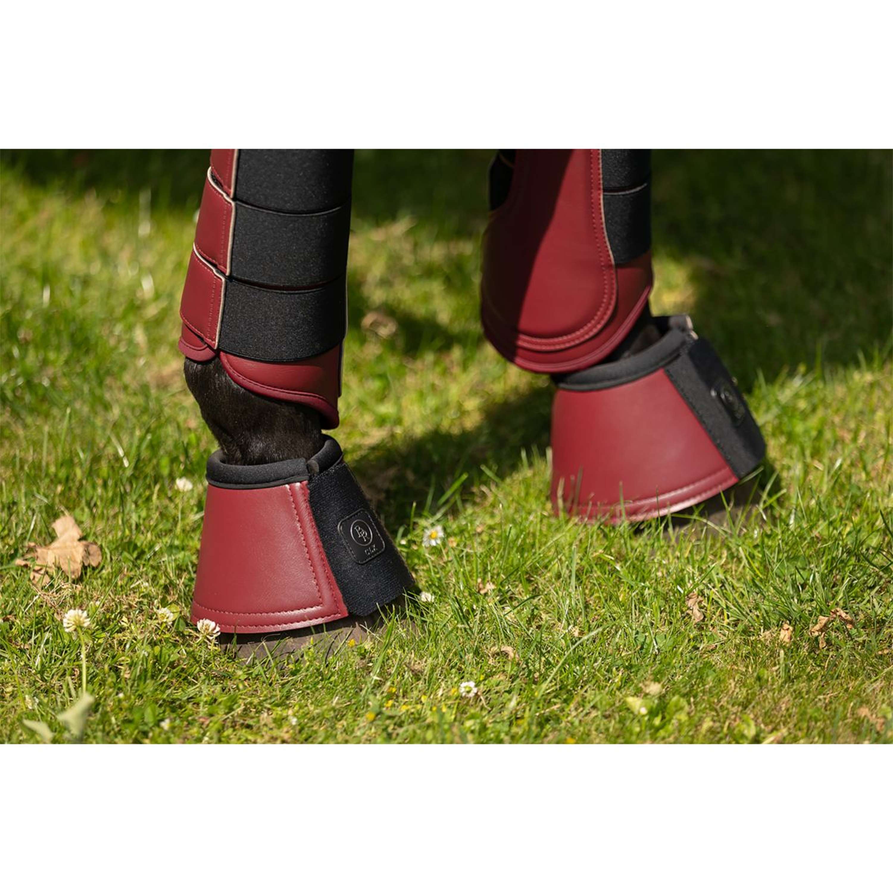 BR Springschoenen CLX Cabernet