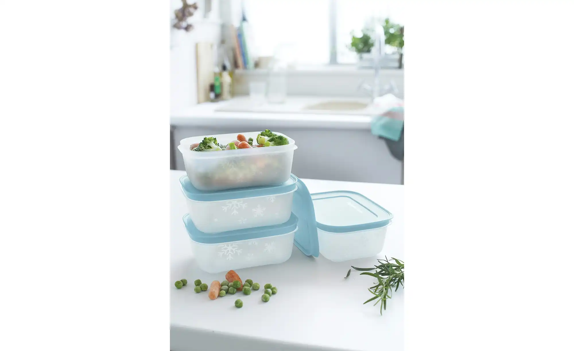 Tupperware Gefrierdosen-Set  4 x 450 ml