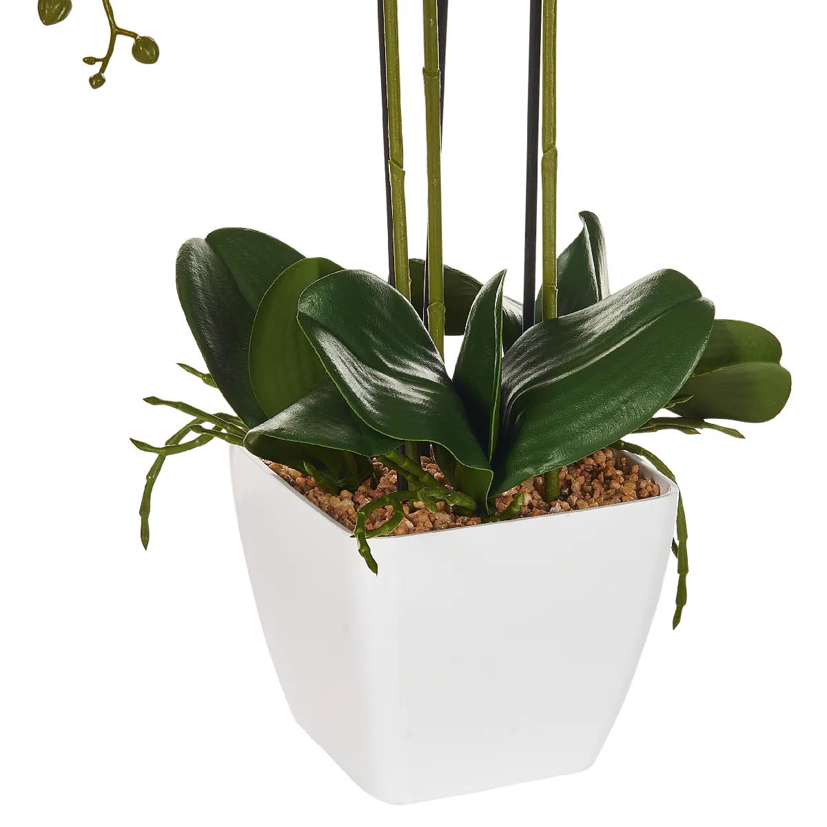 BELIANI ORCHID 59 cm Blanc