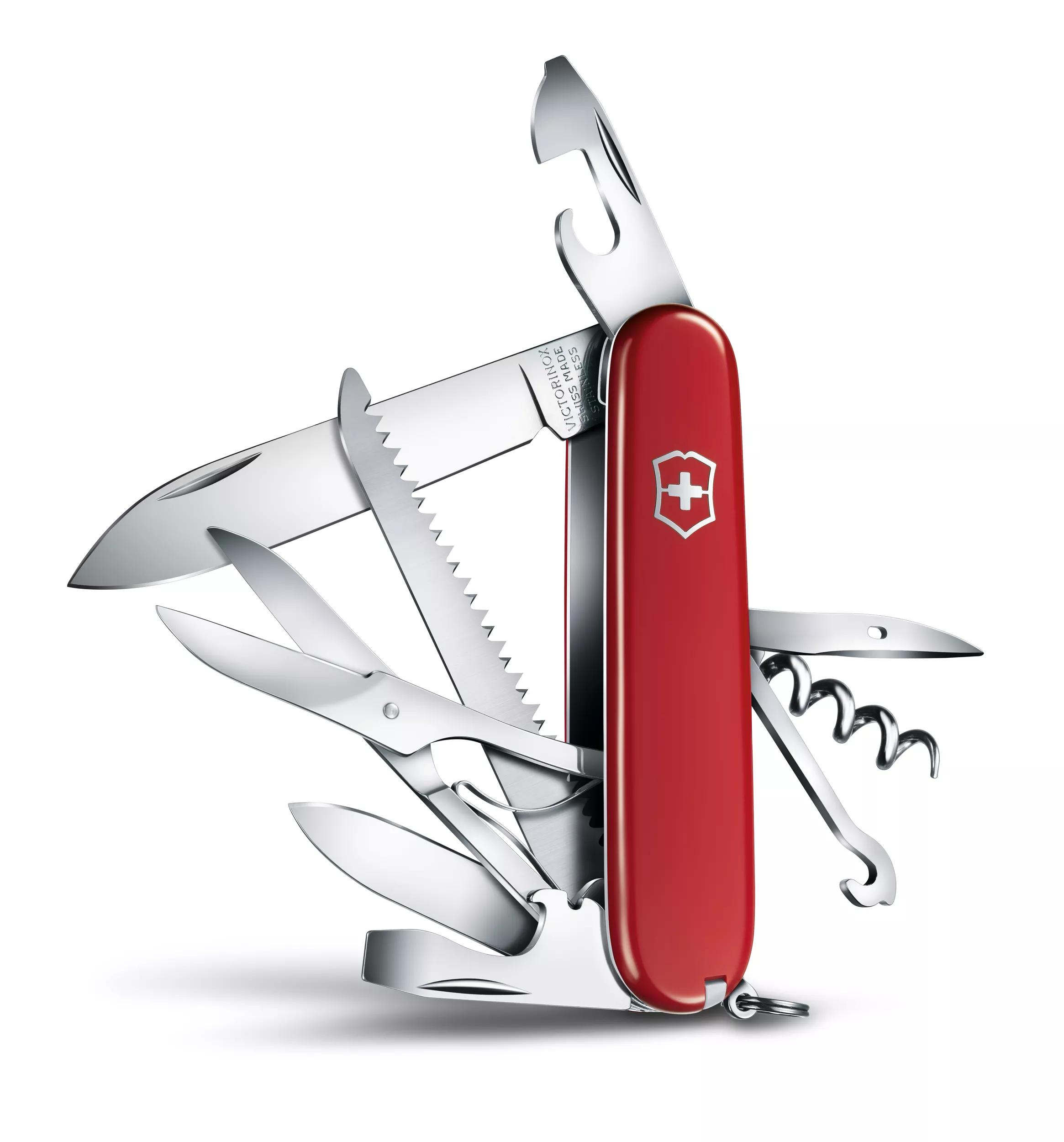 Huntsman-rot