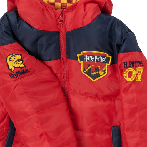 TEAM HEROES  - DOUDOUNE HARRY POTTER - Multicolore