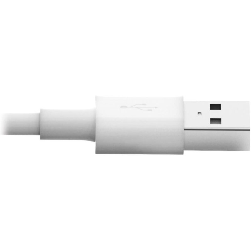 Tripp Lite M100-003-WH câble Lightning 1 m Blanc