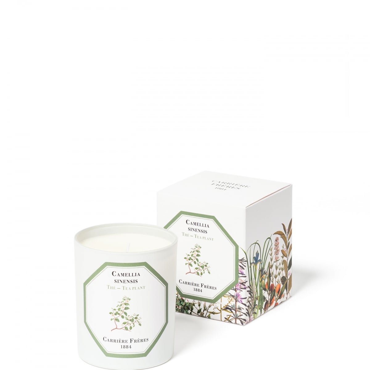 CARRIÈRE FRÈRES Thé - Camelia Sinensis Bougie Parfumée