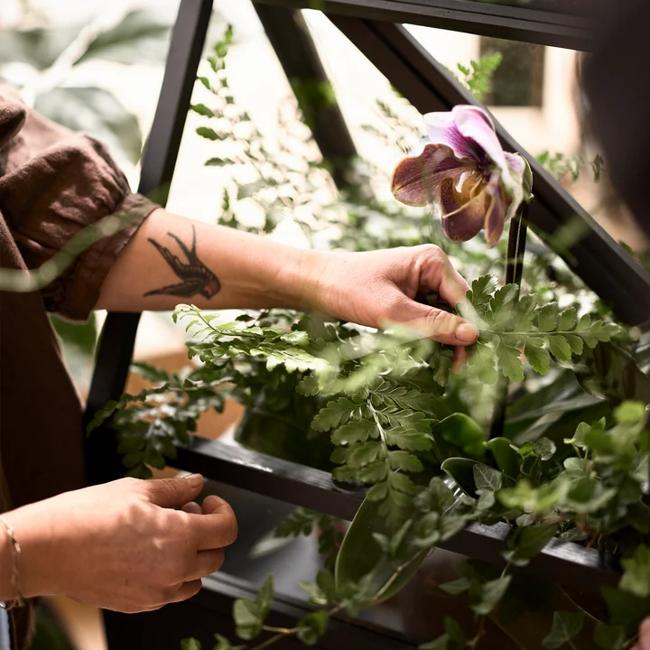 Design House Stockholm - Greenhouse, Esche (komplett)