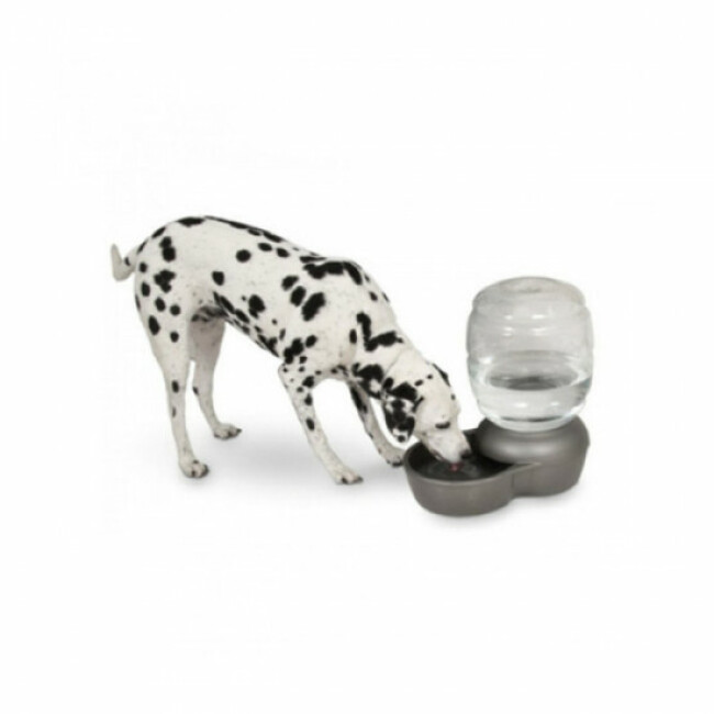 Distributeur d'eau Petmate automatique pour chien