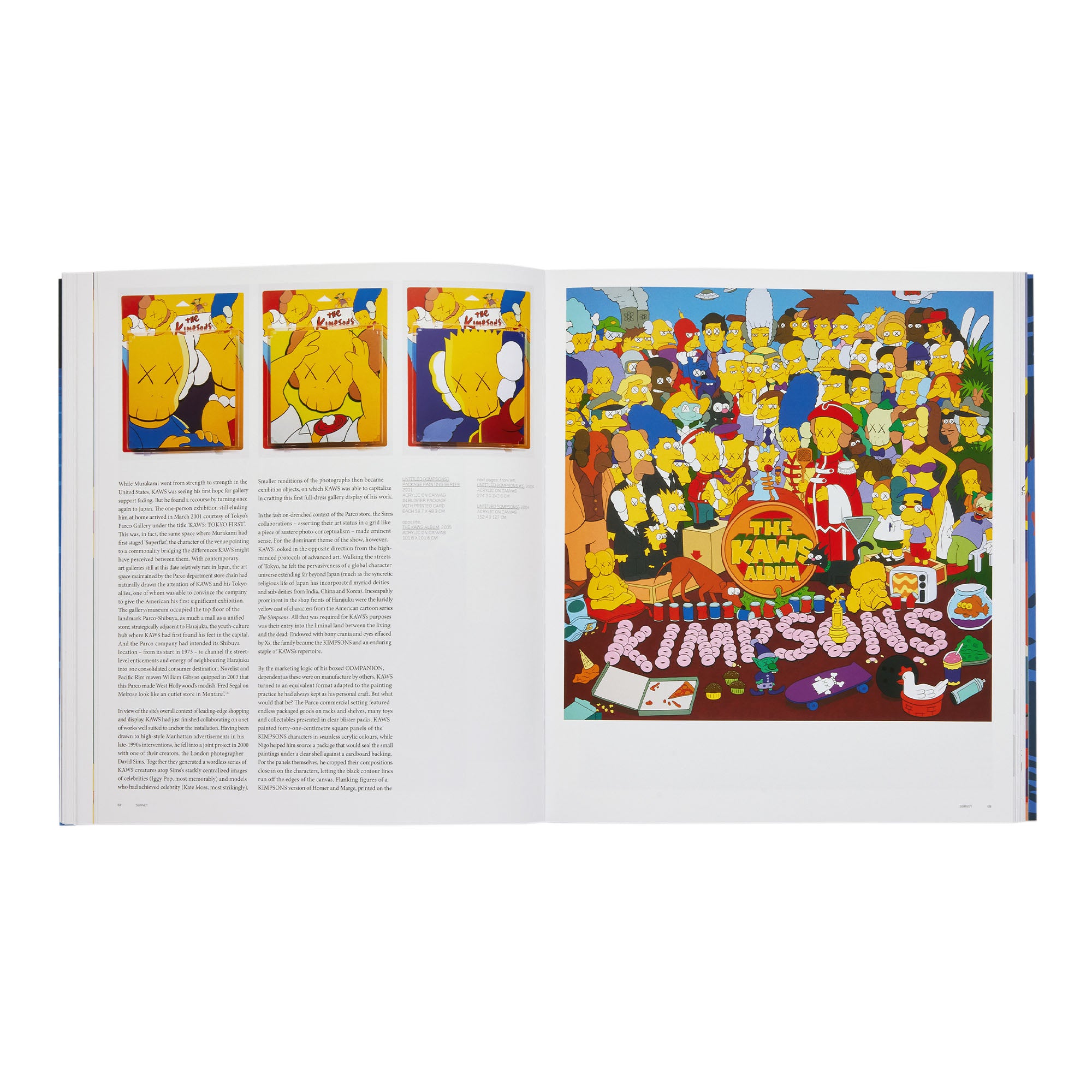 Phaidon<br>Kaws: Contemporary Artist Series