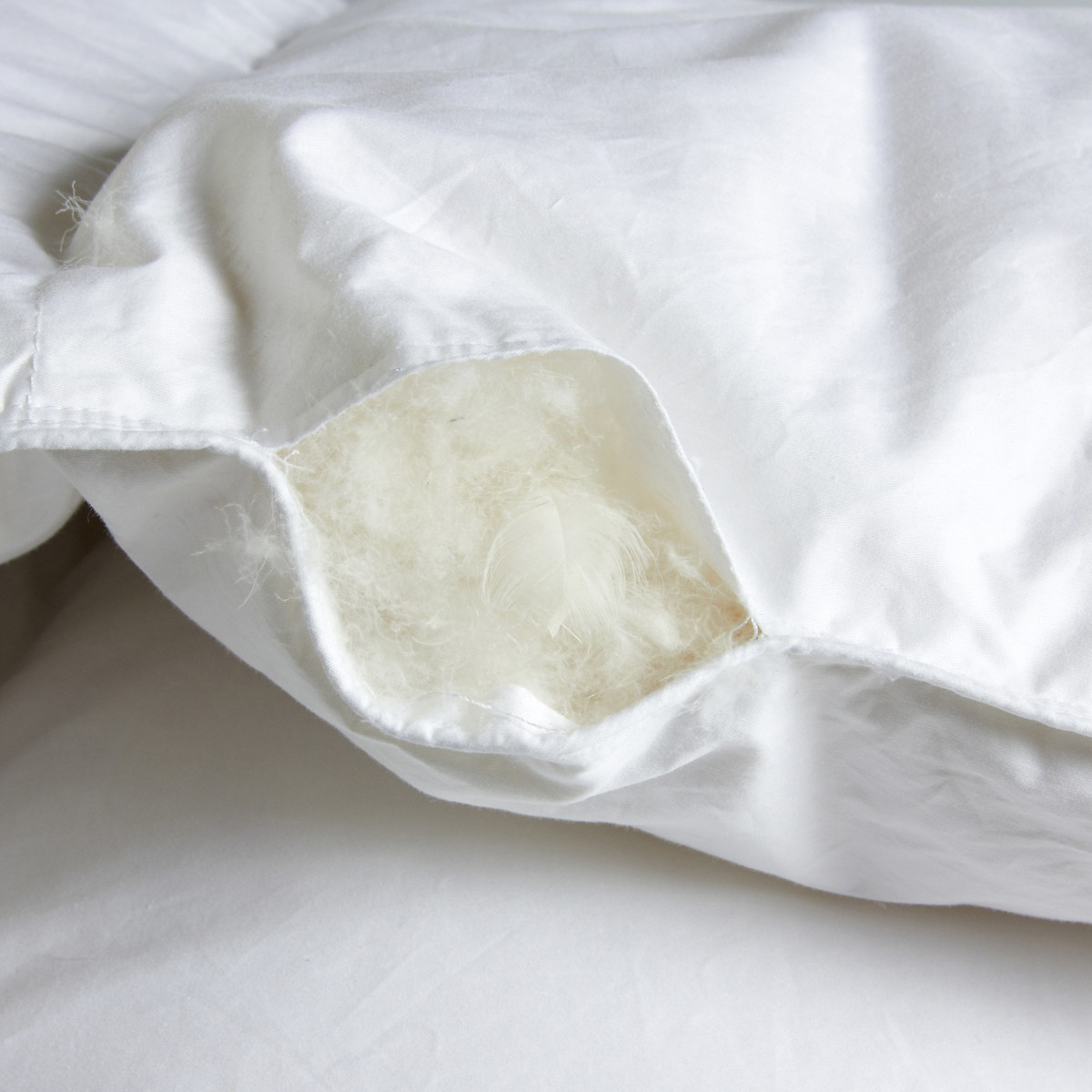 AM.PM<br>Edredom com 90% de penas de ganso, 280g/m², Miglio