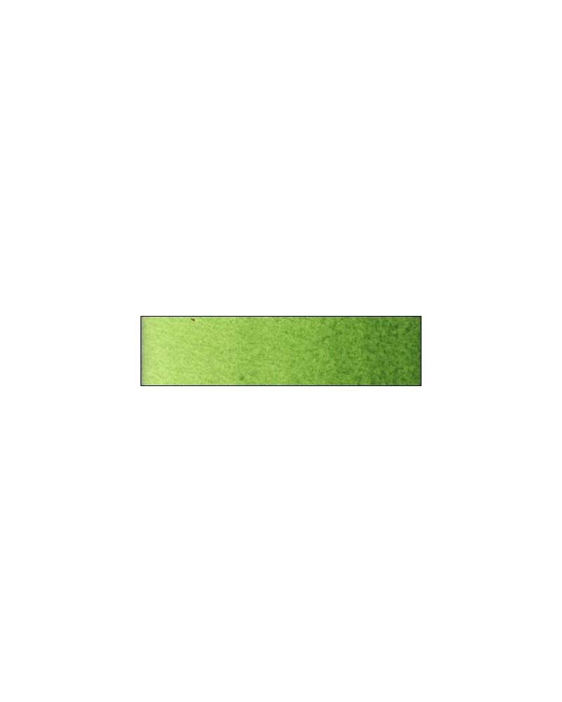 C-51 Vert cinabre fonce extra
