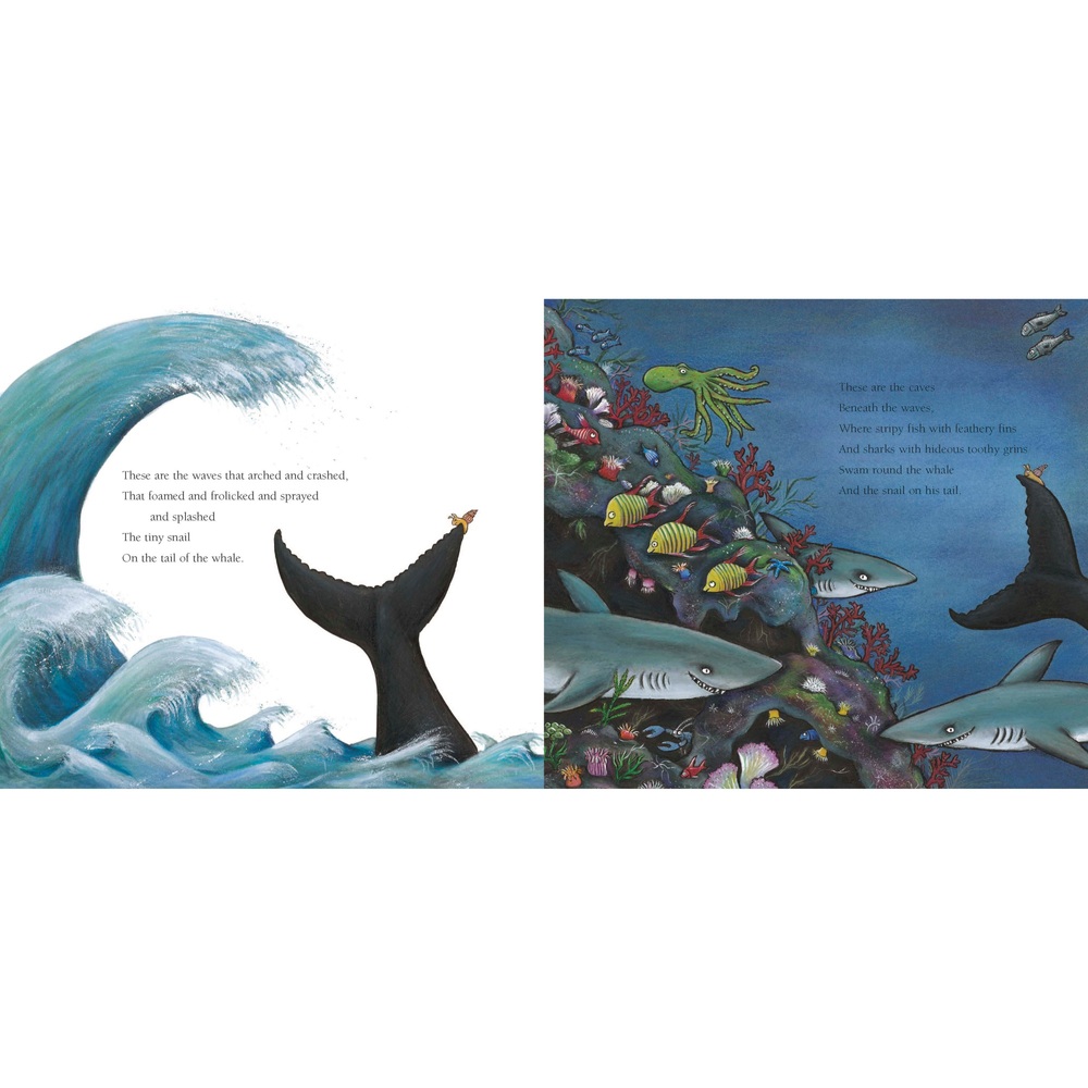 Die Schnecke und der Wal (Taschenbuch) von Julia Donaldson & Axel Scheffler