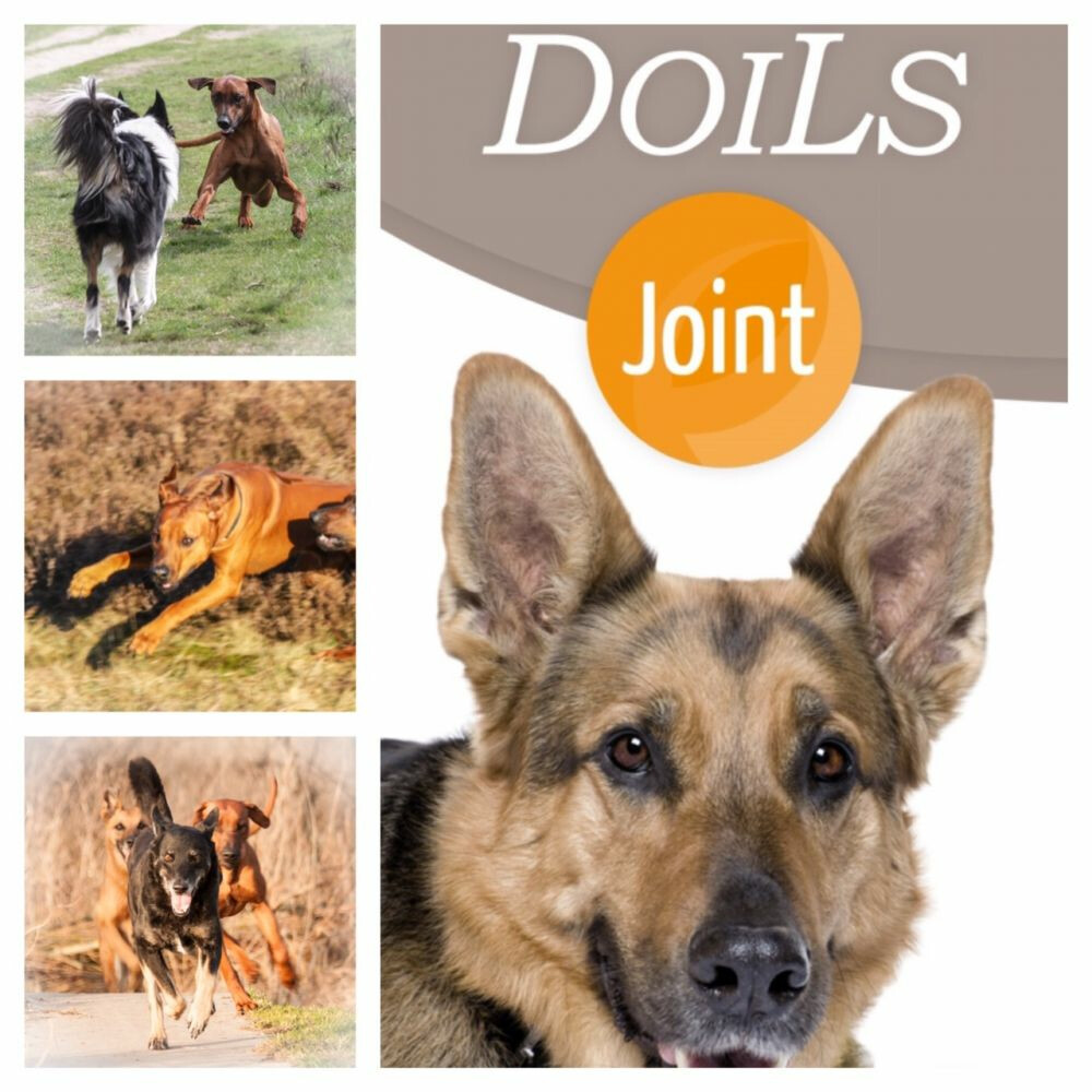 Doils Joint Omega-3 Olie 236 ml