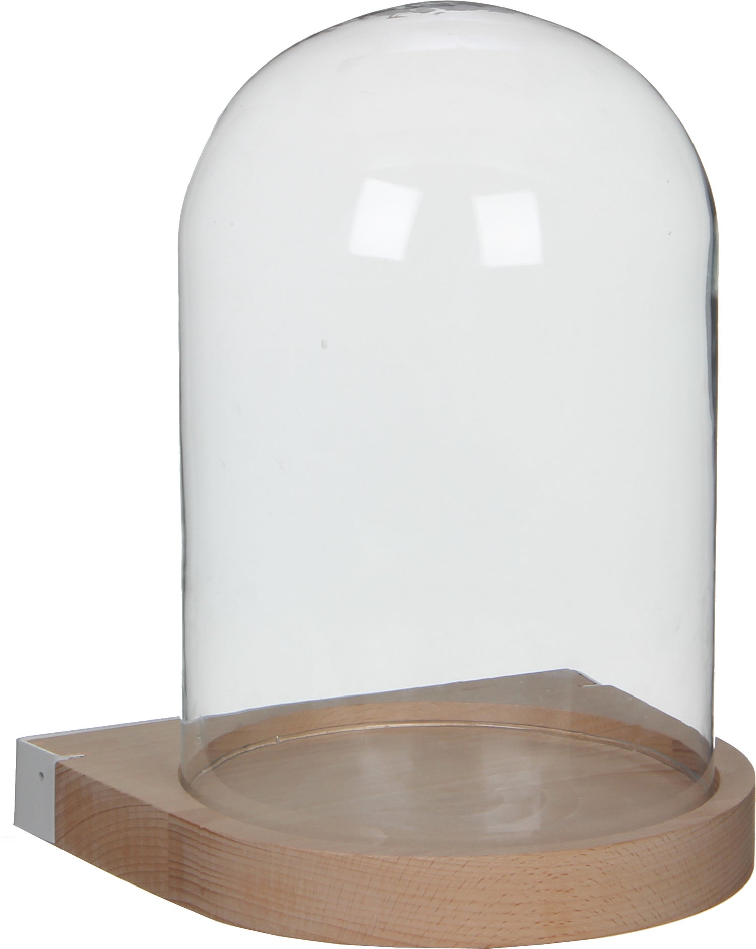 Intratuin wandstolp transparant D 21 H 29 cm