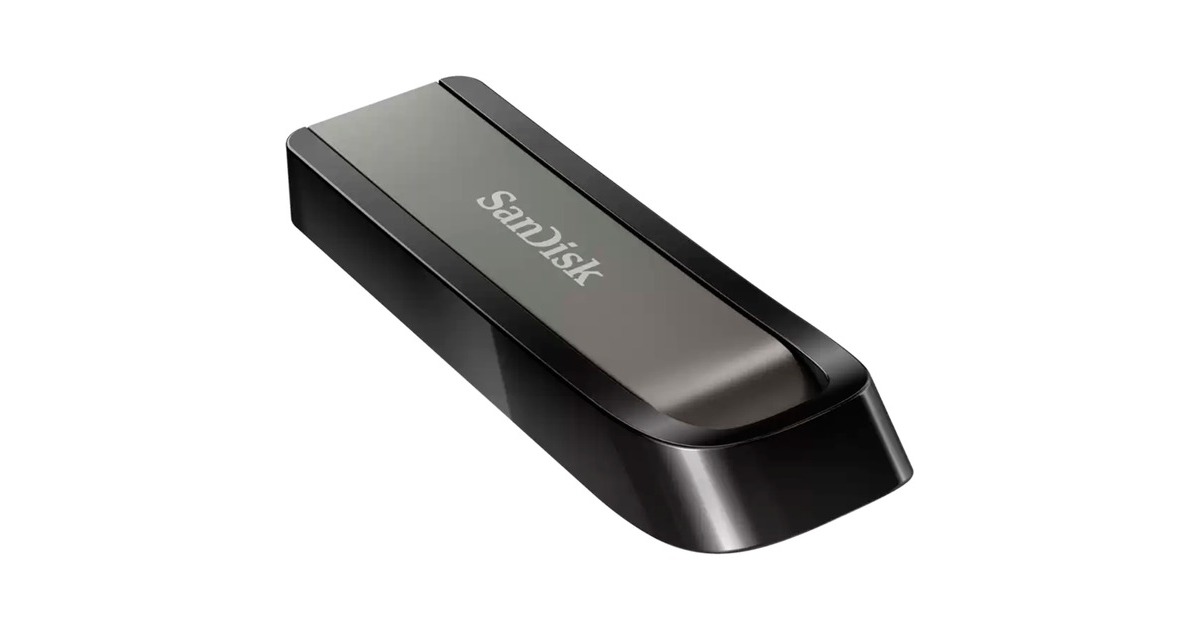 SanDiskExtreme Go 256 GB usb-stick  (Zilver/zwart, USB 3.2 Gen 1)
