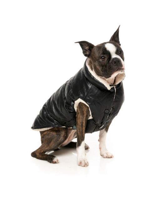 Fuzzyard Milano Jacket Zwart - Hondenkleding