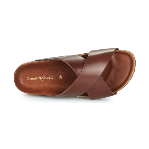 Dream in Green - AGAVE - Marron