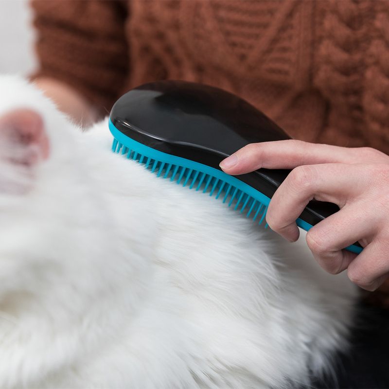 Brosse douce Trixie
