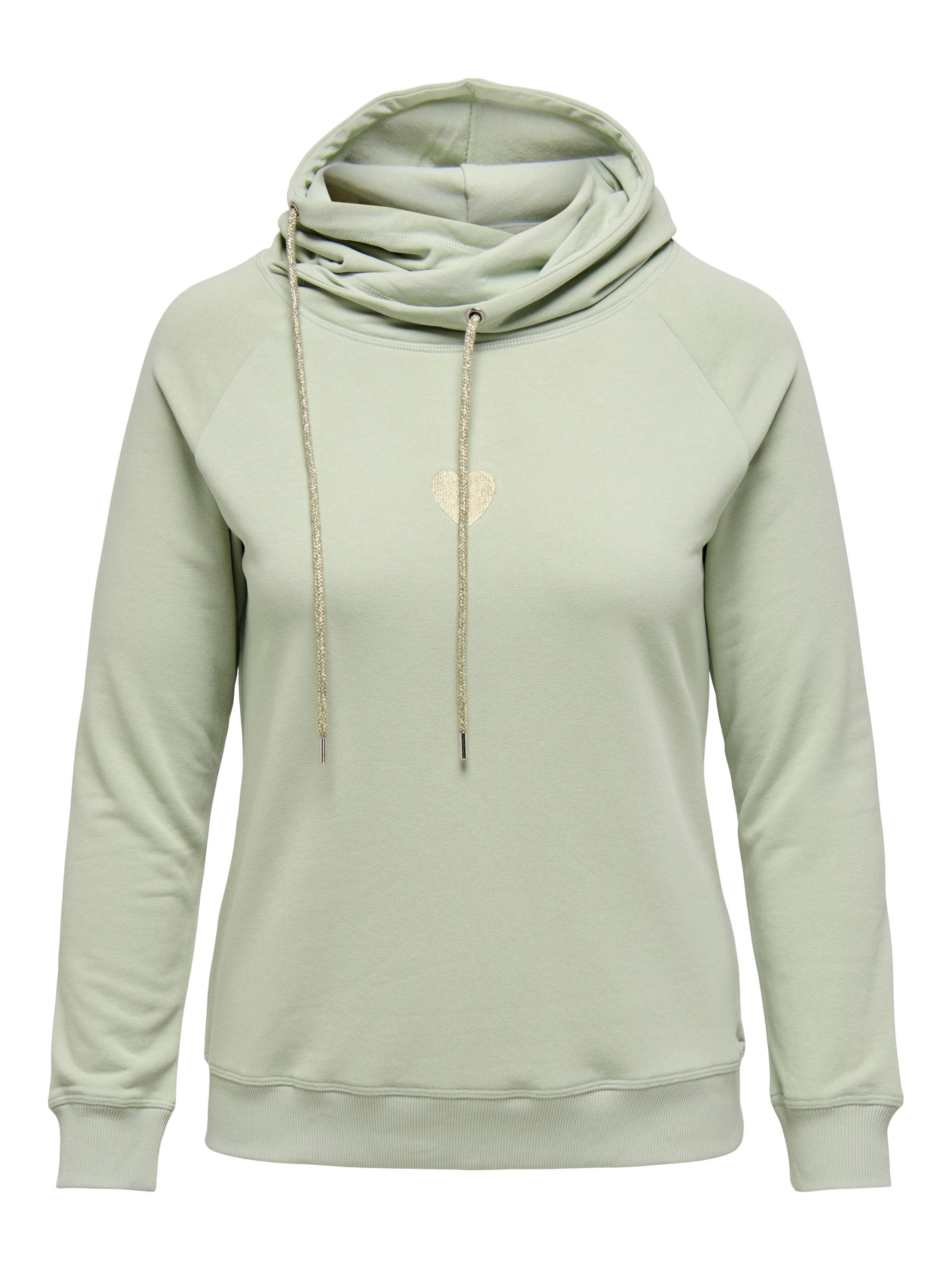 ONLY CARMAKOMA Kapuzensweatshirt »CARMADDIE L/S HOODIE SWT JRS«, mit Glitzerstickerei