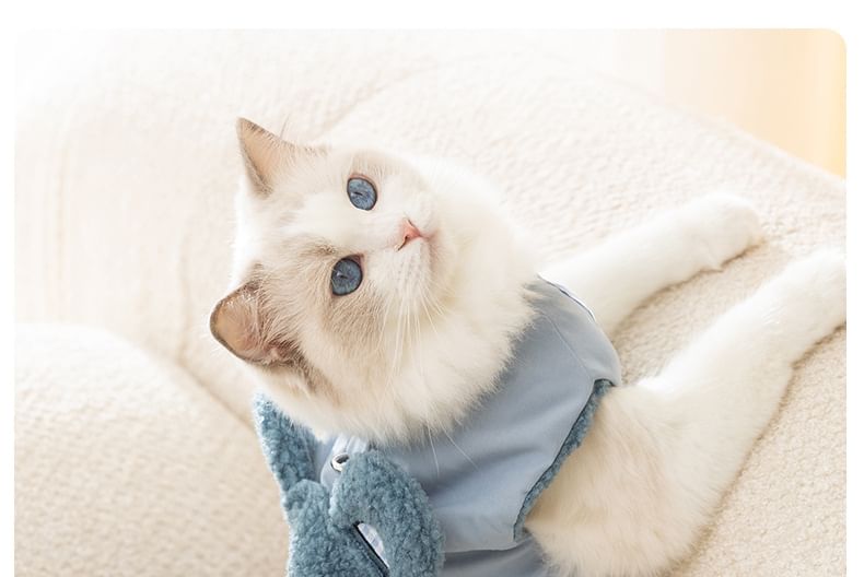 Cissilli - Bear Chenille Pet Top