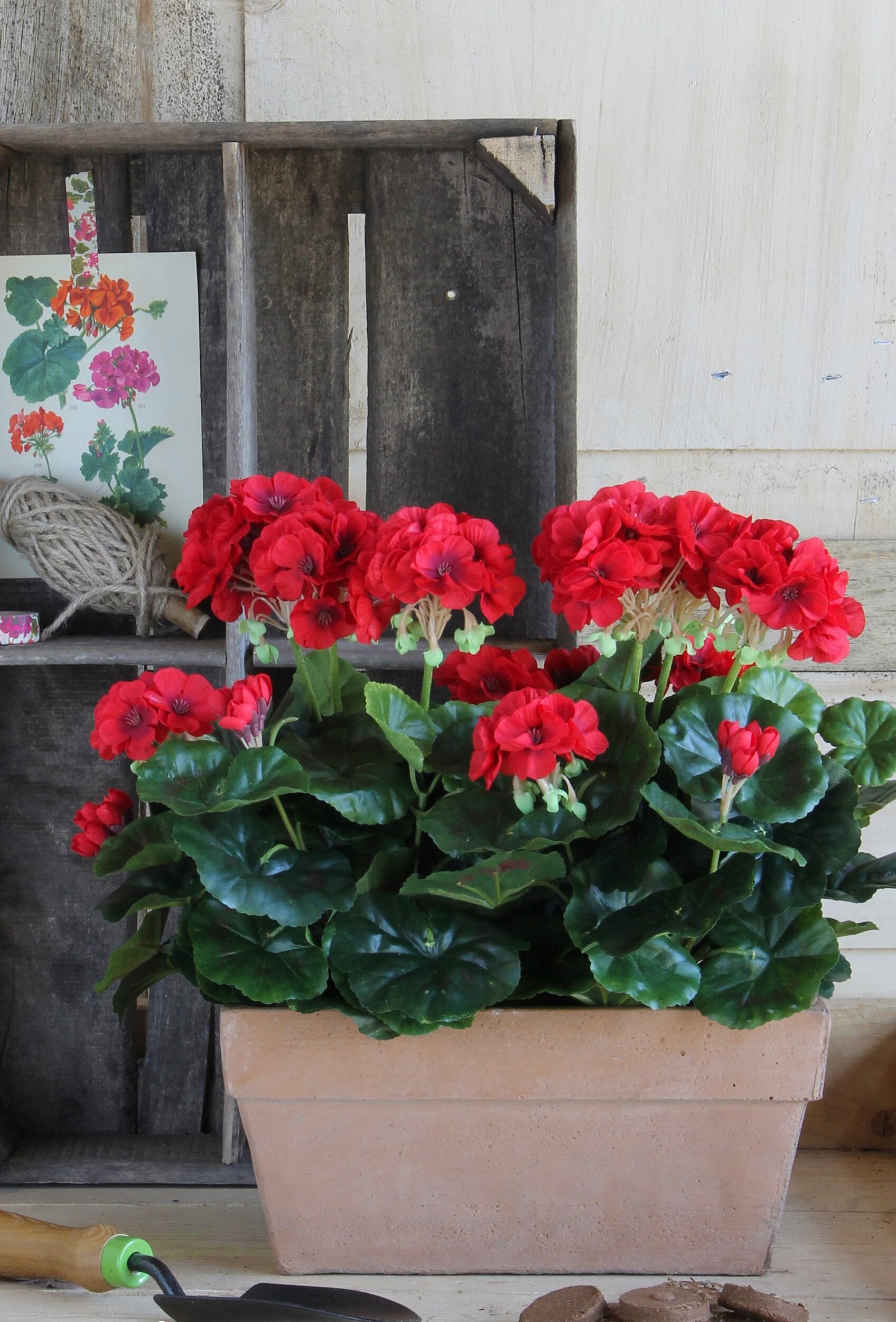 Mica Decorations Geranium rood in balkonbak terra - l29xb13xh40cm