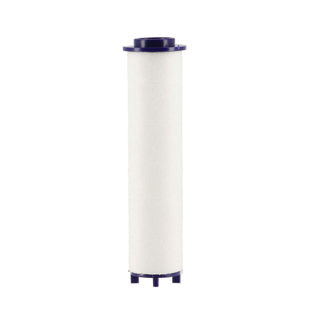 Lot 2 filtres de recharge pour douchette