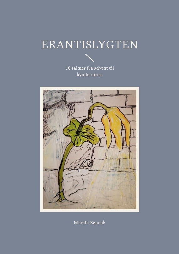 Erantislygten - Merete Bandak - Bog