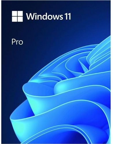 Microsoft Windows Pro 11 PL Box 64-bit USB HAV-00209 Vervangt P voor Windows