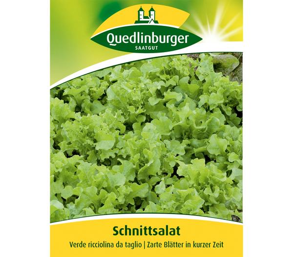 Quedlinberger Samen Schnittsalat 'Verde