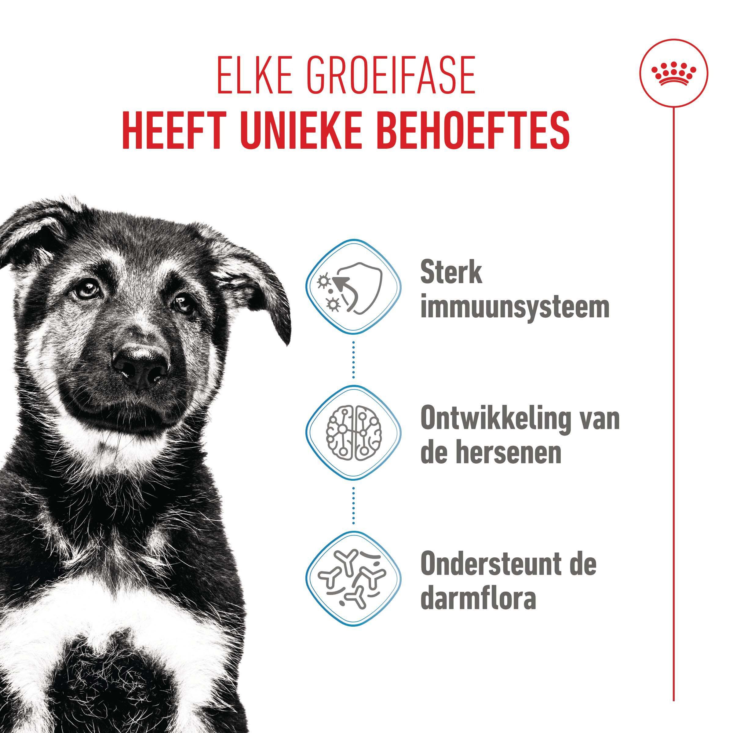 Royal Canin SHN Maxi Puppy - Hondenvoer - 10 Kilogram - gevogelte