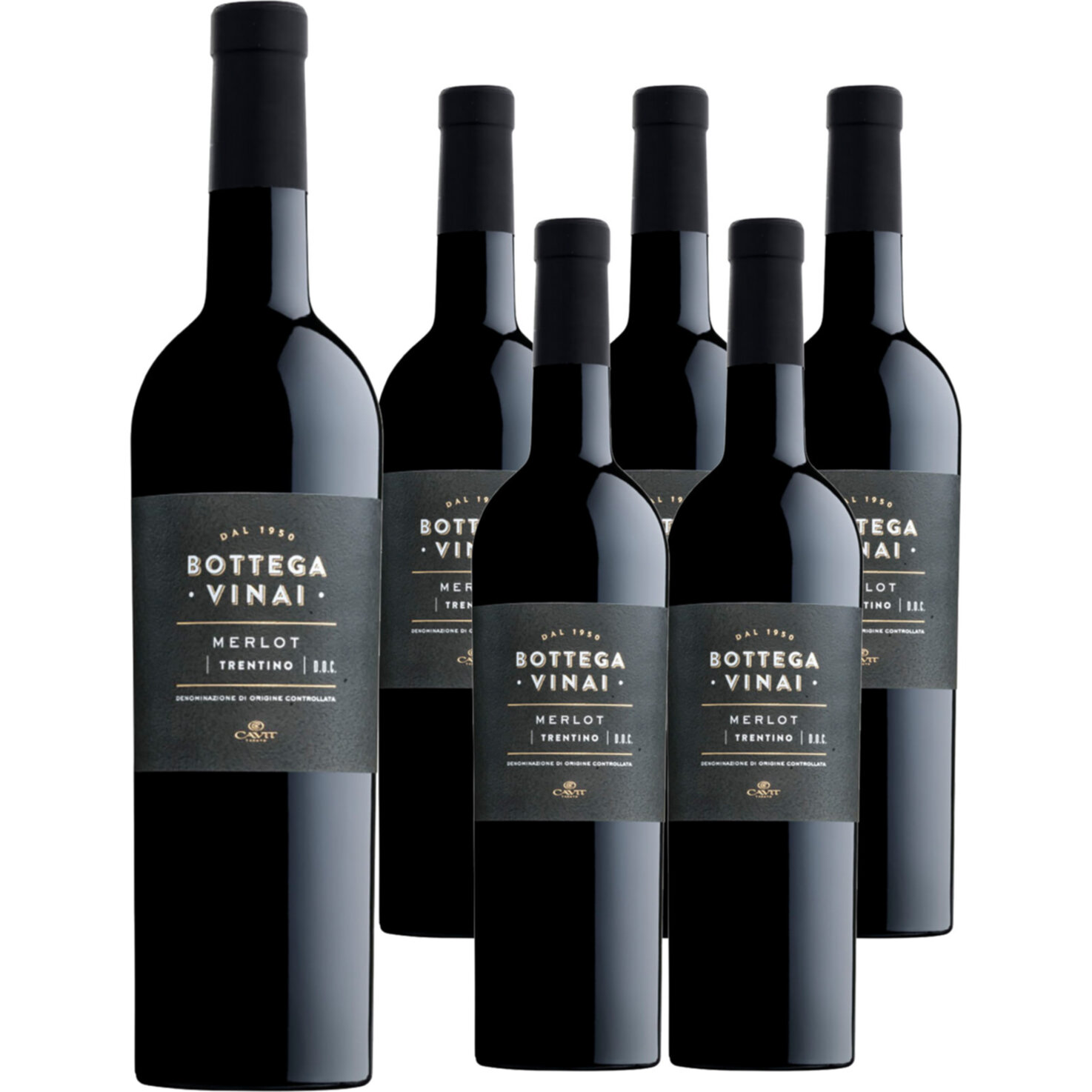 Trentino DOC Merlot Bottega Vinai Cavit 6x 75cl -6x 75cl