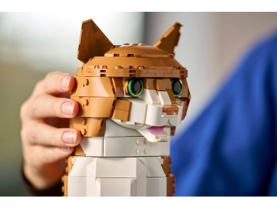 LEGO Oranje kat (21376)