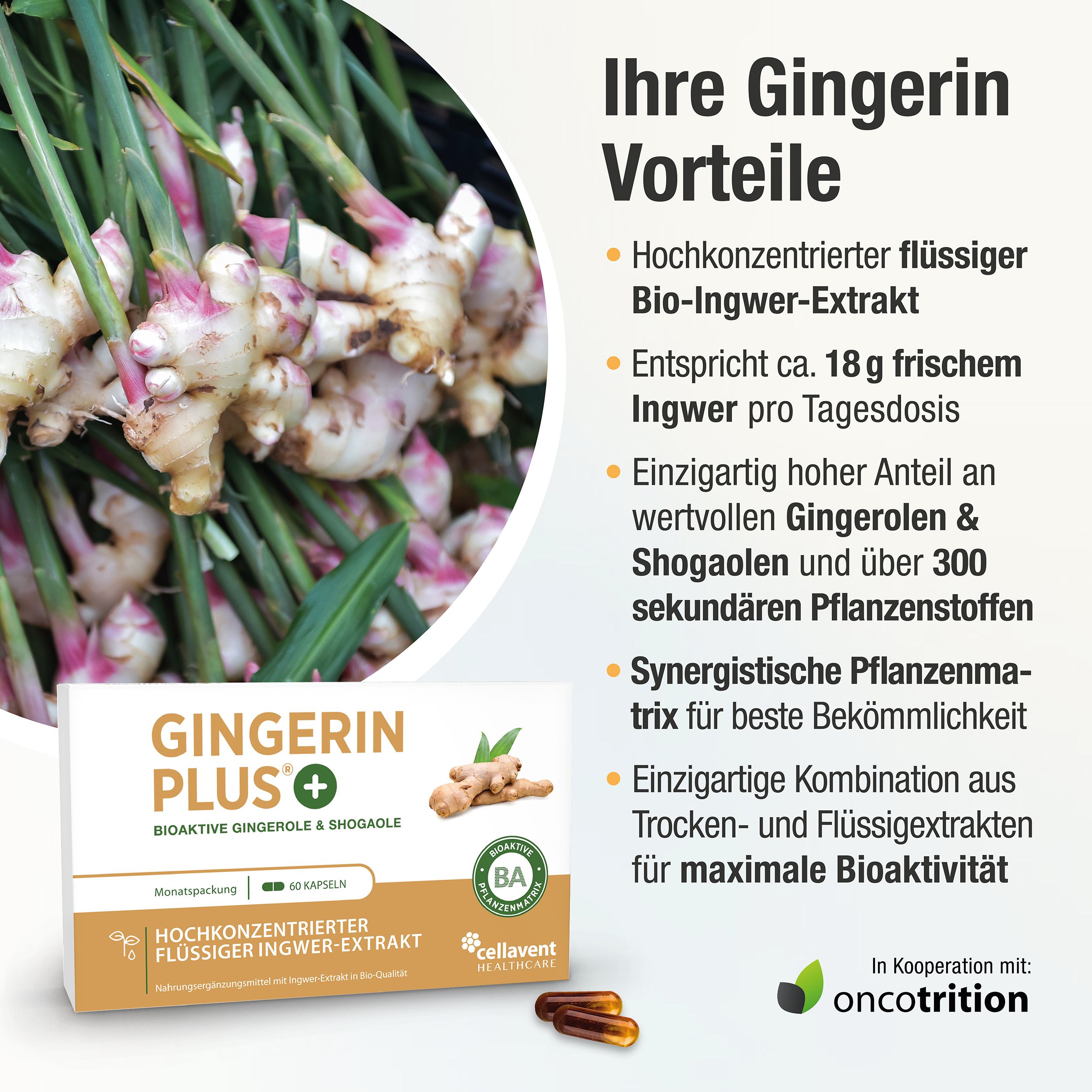 GINGERIN PLUS® Ingwer Kapseln