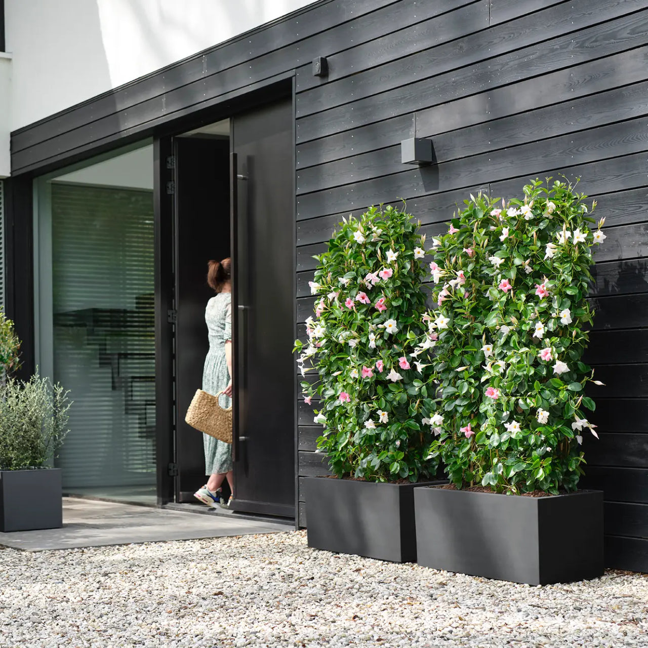 elho Vivo Next Plantenbak B 60 cm - Zwart