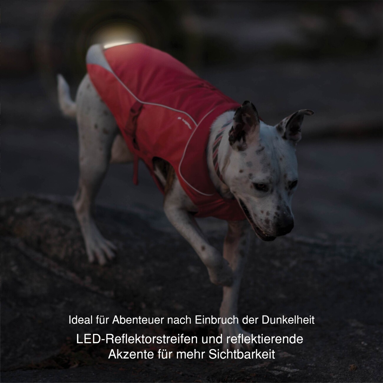 Kurgo North Country Hundemantel M