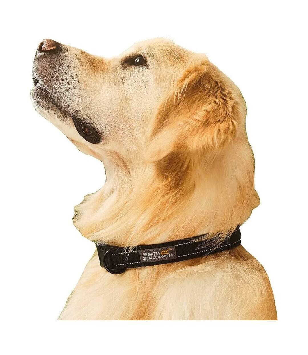 Regatta - Collier pour chiens PREMIUM (Noir) (L-XL) - UTRG6292